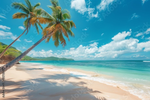 Beach with palm trees and sea on a clear day