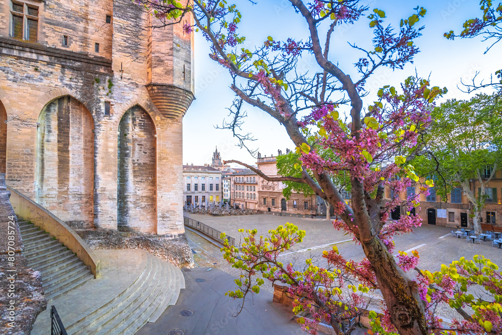 Obraz premium Ancient city of Avignon square an Pope palace view