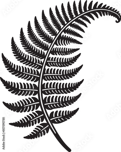 fern leaf isolated on black desain and white begraund