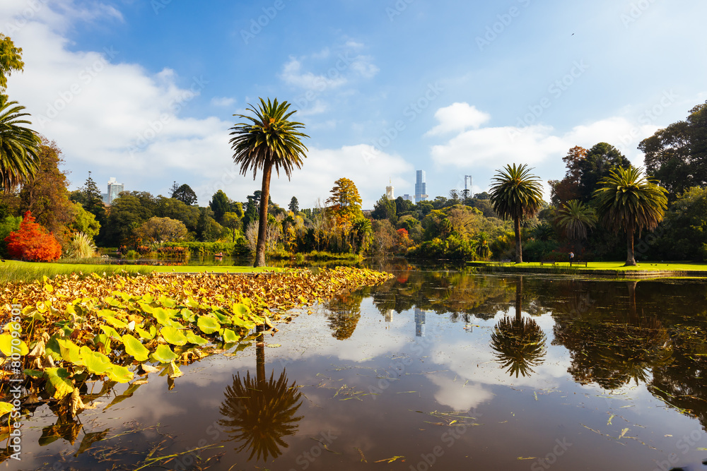 Naklejka premium Royal Botanic Gardens in Melbourne Australia