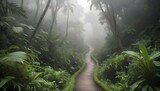 A winding path disappearing into the misty jungle upscaled 5