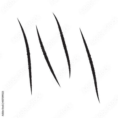 Bear paw claw marks, scratches of animal attack