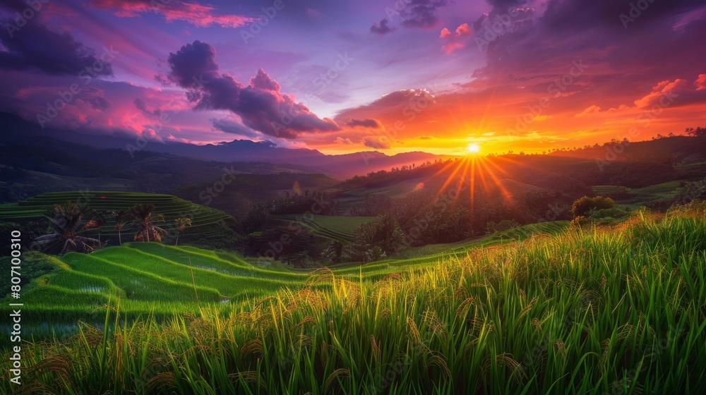 A stunning sunset over lush green rice fields, painting the sky in hues of orange and purple, a tranquil scene of rural beauty.