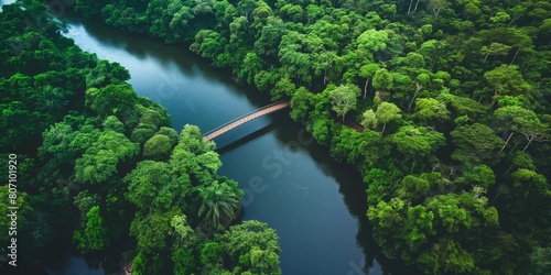 A serene aerial shot capturing a bridge crossing a winding river surrounded by a dense, green forest photo