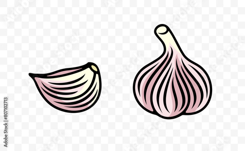 Garlic bulb and garlic cloves, graphic design. Spice, vegetable, bulb and herb, vector design and illustration