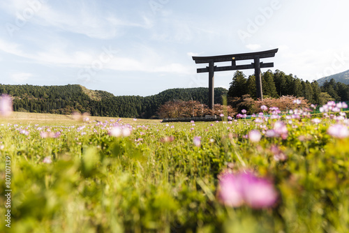 Oyunohara Shrine Kumano Kodo trail