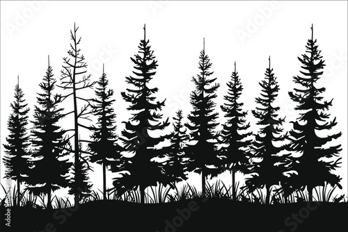 Silhouettes of trees in the forest, Silhouette of forest trees, Pine tree silhouettes, Fir trees silhouettes, Forest vector silhouette , Fir Tree, Pine tree black silhouettes, Vector