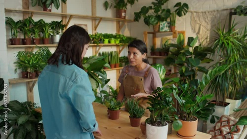 Medium of Hispanic saleswoman of eco-friendly shop talking to customer and helping to choose between two potted plants