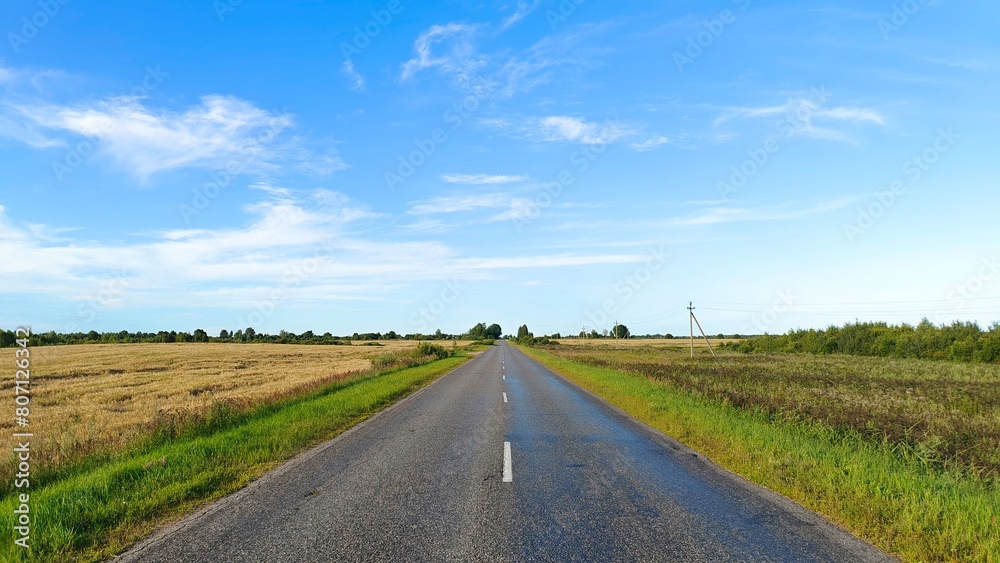 An asphalt road with markings lies among meadows and agricultural fields with ripening wheat. A power line runs along it, and further on there is a mixed forest. Sunny summer weather and blue sky