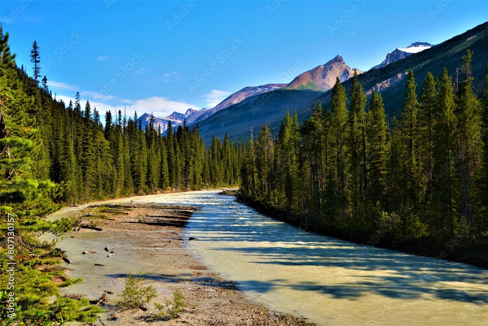 Fototapeta premium Yoho River with Trolltinder Mountain and Mt. Balfour (2912 m and 3272 m, part of the Waputik Range) in the background, located in the Canadian Rockies in British Columbia (Yoho National Park, Canada)