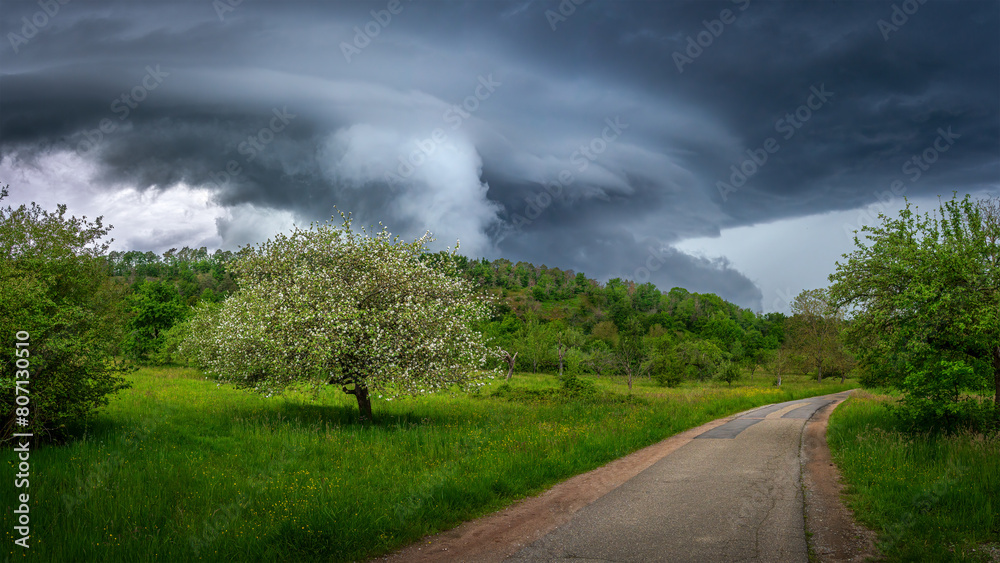 custom made wallpaper toronto digitalA storm cell moves over the Murgtal (Murg valley) in the norhern Black Forest in Germany