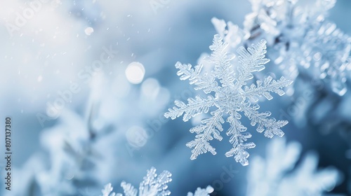 Winter background with snowflakes. © tnihousestudio