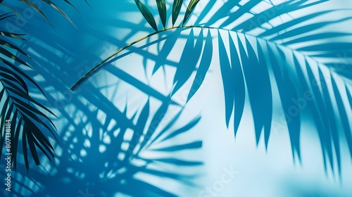 palm tree in the wind