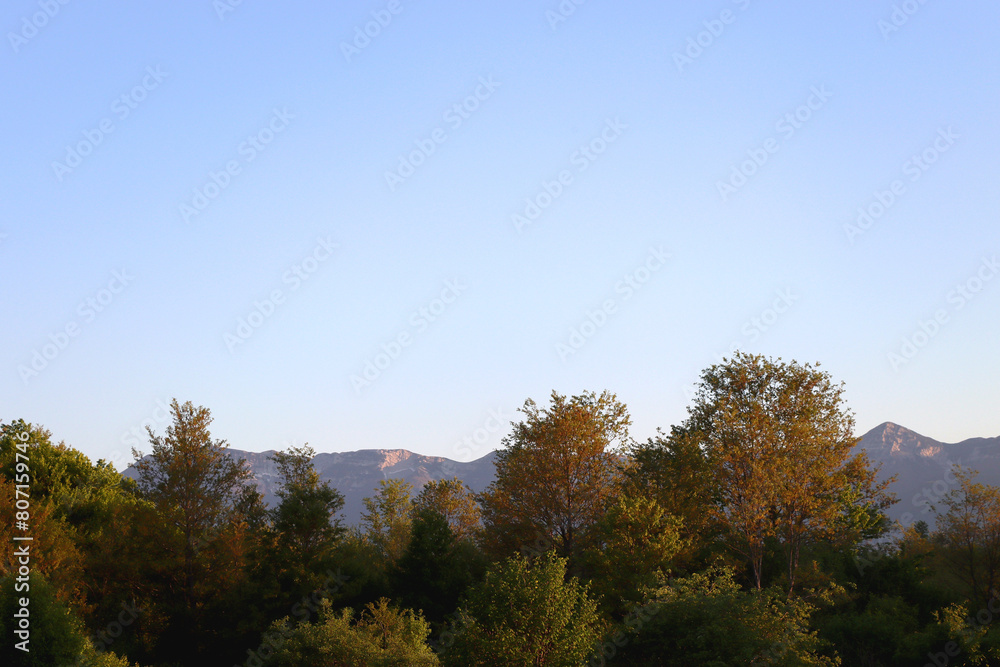 Mountain forest, illuminated by warm sunlight. Mountain forest, illuminated by warm sunlight.