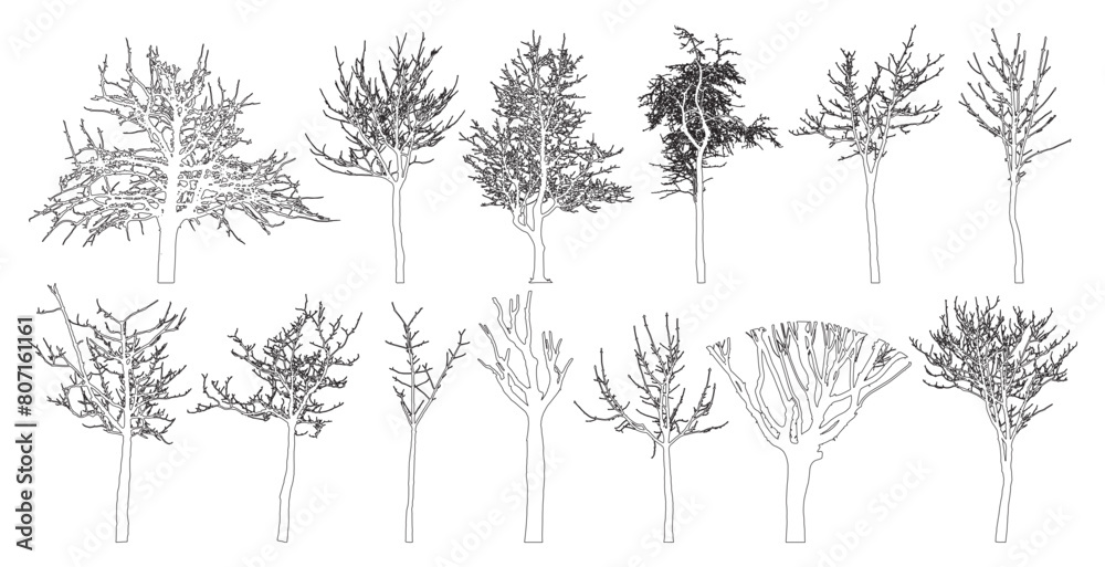 Bare trees contour, set. Beautiful leafless trees. Vector illustration Bare trees contour, set. Beautiful leafless trees. Vector illustration