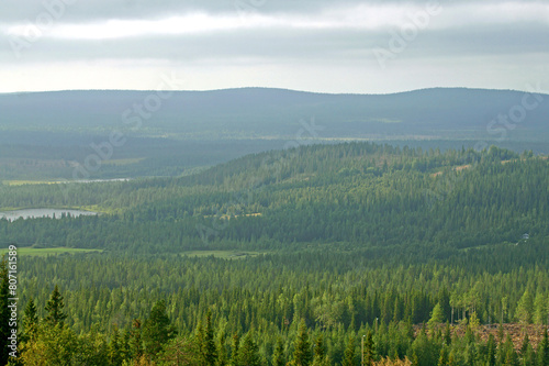 Finnish hills with endless coniferous forests in Lapland on summer evening © valeriyap
