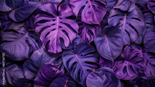 Violet tropical leaf, summer wallpaper,  beautiful and simple to use as a graphic element © DrPhatPhaw