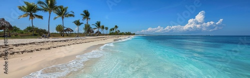 A beach scene with golden sands, palm trees, and clear blue water