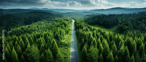 sustainability roadmap, aerial view of green forest path photo