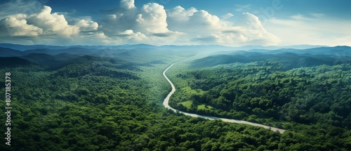 Fototapeta Naklejka Na Ścianę i Meble -  road to sustainability, green forest in aerial perspective