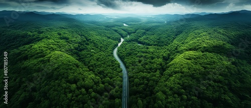 road to sustainability, green forest in aerial perspective