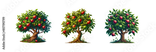 Set of Illustration on Apple tree clipart, isolated over on transparent white background © Mithun
