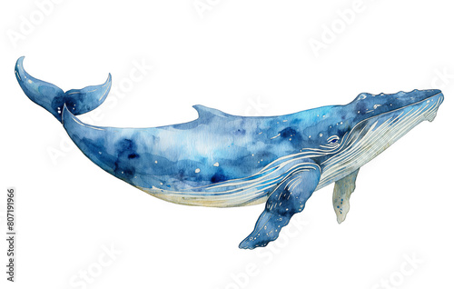 Watercolor simple cute blue whale, isolated on white background © Anastasia Knyazeva
