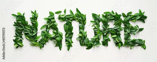 A word NATURE made of green...