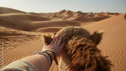 Traveler riding a camel in the desert  close-up on hand stroking camel s coarse hair  endless dunes behind