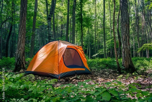camping tent in woods
