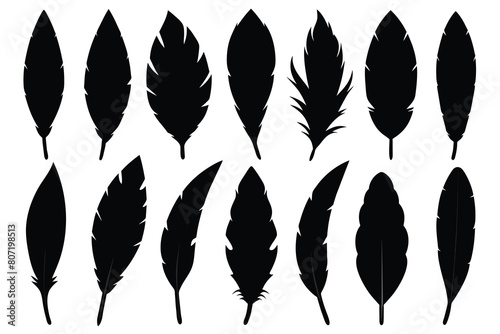 Set of bird feather black Silhouette Design with white Background and Vector Illustration photo