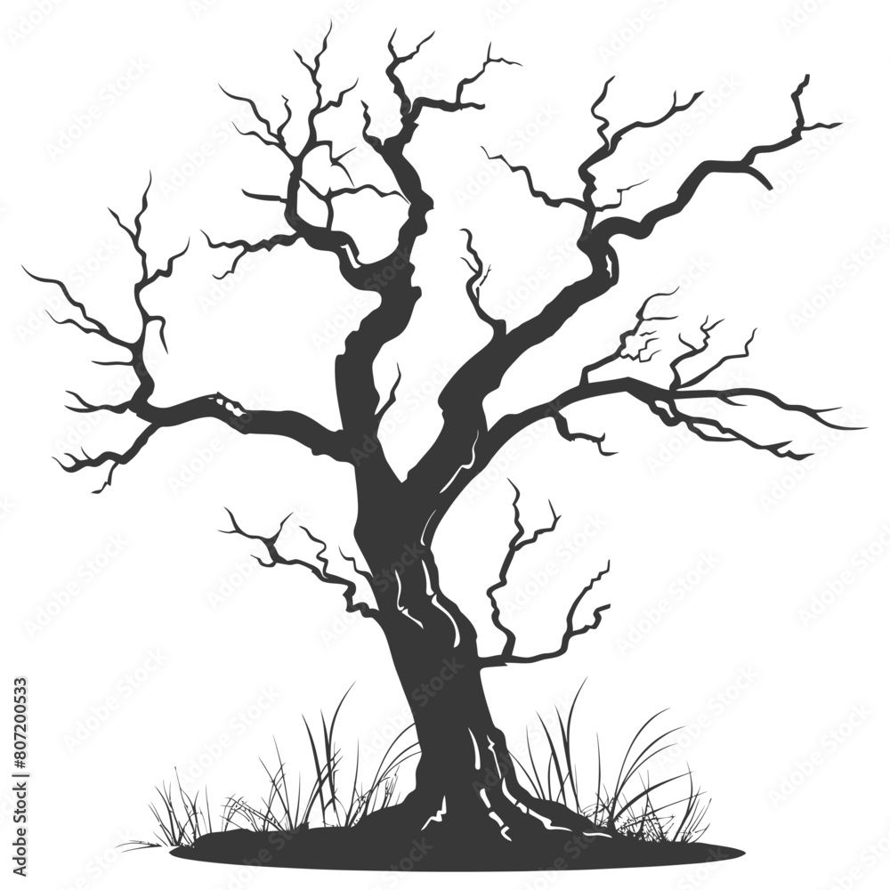 Silhouette dead tree full black color only Silhouette dead tree full black color only
