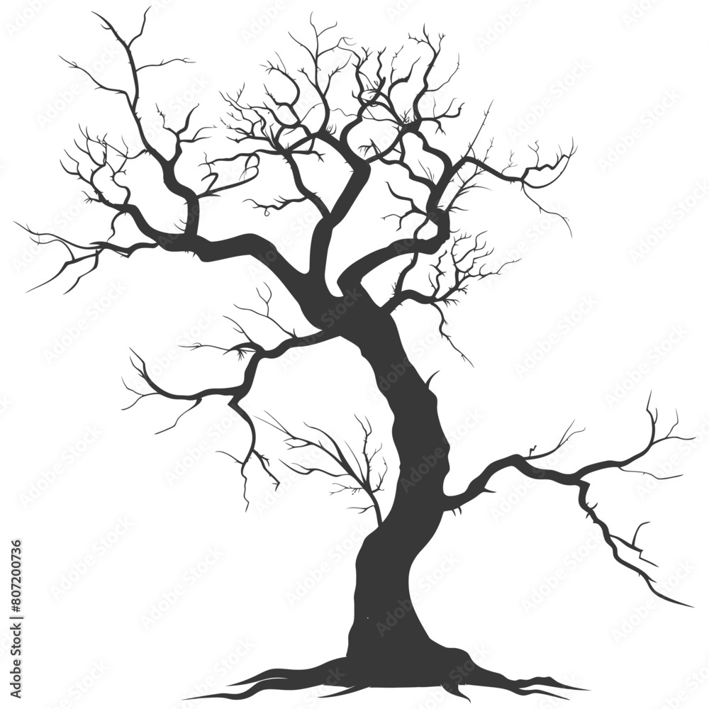 Silhouette dead tree full black color only Silhouette dead tree full black color only