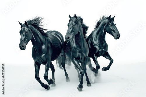 Three stallions  strength embodied