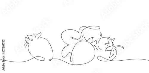 Isolated vector strawberry graphic in one line minimalist style