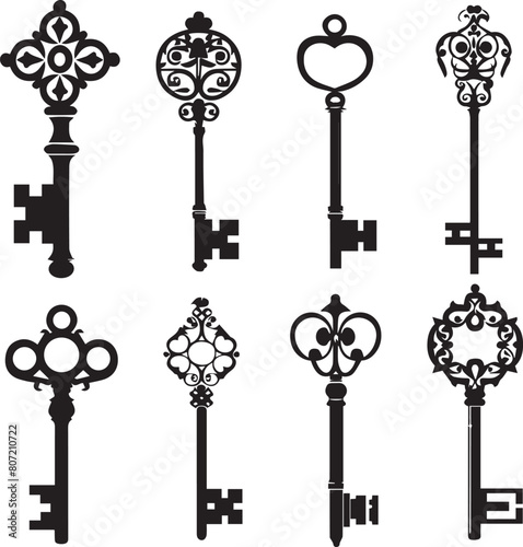 Set of key icons silhouettes on white background 