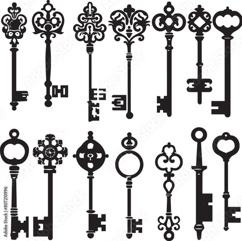 Set of key icons silhouettes on white background 