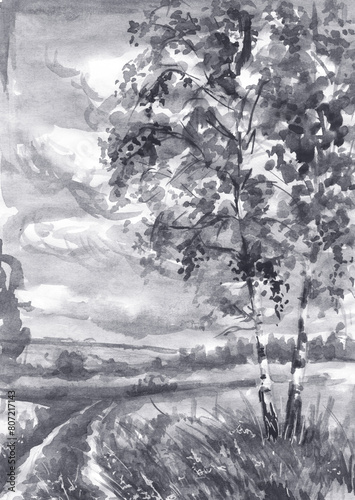 Watercolor Sketch of Summer Landscape with Birch Tree