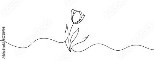 The tulip is drawn in one continuous line