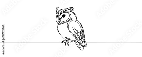 Online education owl one line graduation concept. E-learning training skill courses. vector illustration