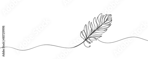 Continuous hand drawn for bird feather on white background. Abstract vector illustration. Vector