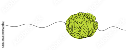 Head lettuce in continuous line art drawing style. Iceberg or crisphead lettuce design isolated on white background. Vector illustration.
