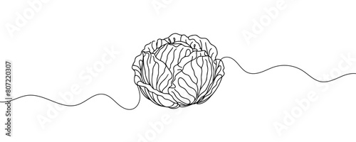 Head lettuce in continuous line art drawing style. Iceberg or crisphead lettuce design isolated on white background. Vector illustration.