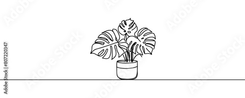 Monstera house plant in pot one line continuous drawing vector illustration. Hand drawn linear icon