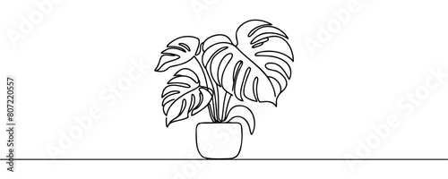 Monstera house plant in pot one line continuous drawing vector illustration. Hand drawn linear icon