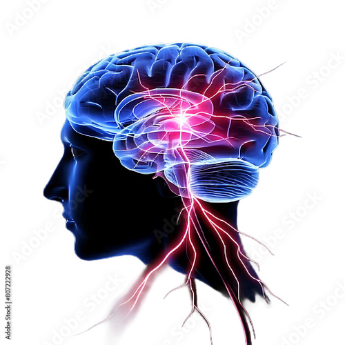  neon light effect human brain nerve tracts based on magnetic resonance imaging High quality photo isolated on transparent png background
