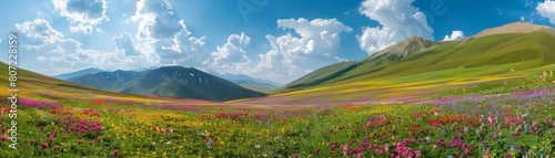 Panoramic view of a colorful flower meadow in spring