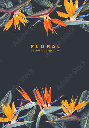 Botanical frame of tropical Strelitzia Reginae, tropical flowers and leaves. Vector isolated on black. Realistic hand drawn style. A South African plant called crane flower or bird of paradise.