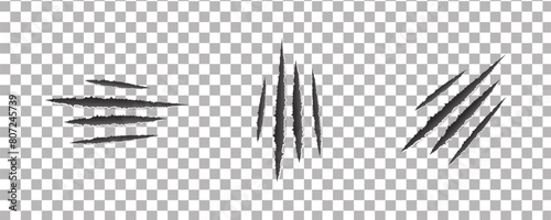 Claws scratches vector isolated on transparent background. (cat, tiger, lion, bear) illustration.