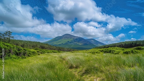 Slieve Donard: A Stunning View of Mourne Mountains with Green Landscape, Forests, and Cloudy Summer photo
